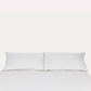 Classic Percale - Fitted Sheet Set- White with Jade Green Piped Edge